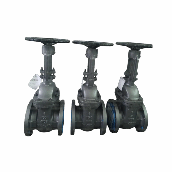 Válvula Compuerta 6 150lbs 5202f - WALWORTH