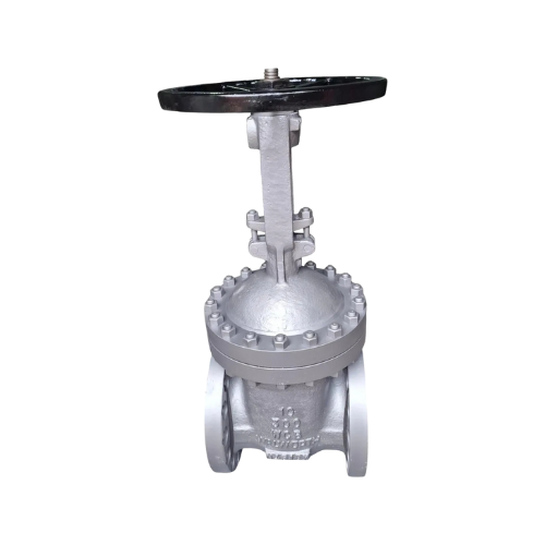 Válvula Compuerta 10 300# 5206f - WALWORTH