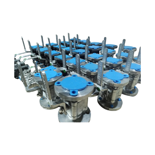 Válvula De 1 1/2 Bridada 150 Inoxidable 466-t - WORCESTER